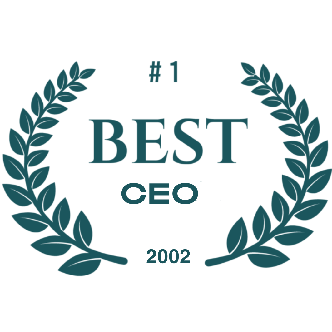 CEO award 2002